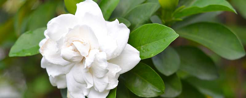 ���ӻ��Ĺ�Ч������ ���ӻ�ͼƬ